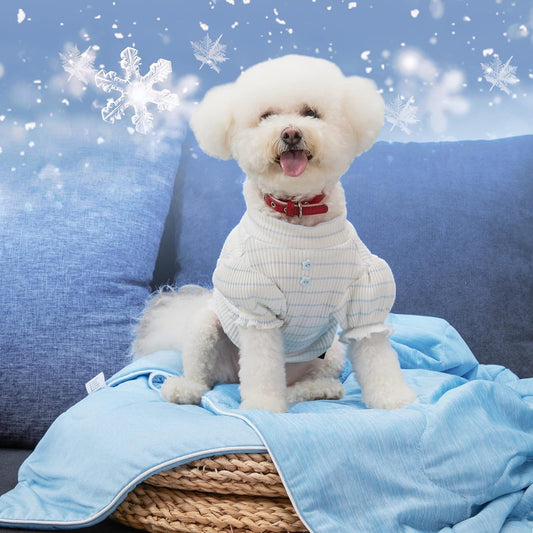 Cooling Dog Pet Blanket with Cold Material for Dogs Cats Puppies 40 X 30 Inches Bed Mats Blankets Keep Pets Cool and Comfort Lightweight Summer Blanket